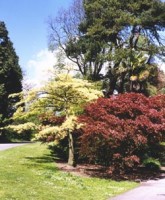 WESTONBIRT